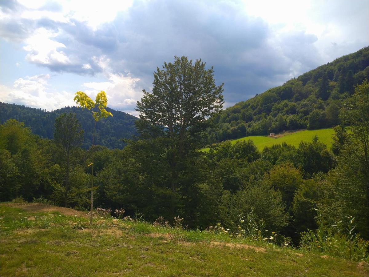 Lesny Dworek 1 Wolkowyja Exteriör bild