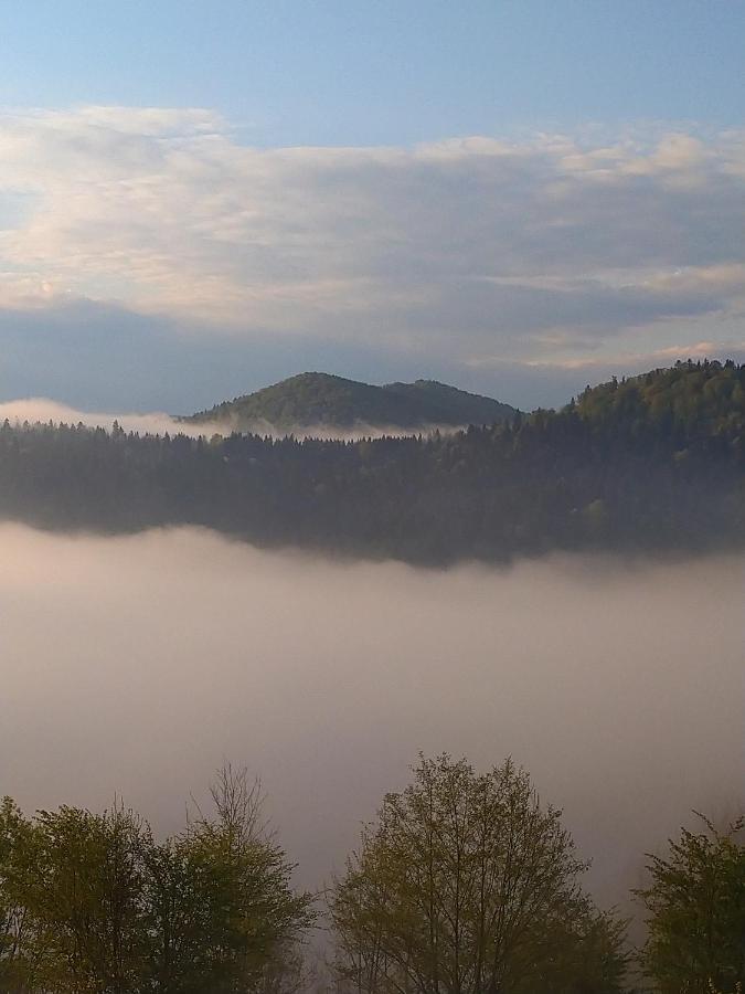 Lesny Dworek 1 Wolkowyja Exteriör bild