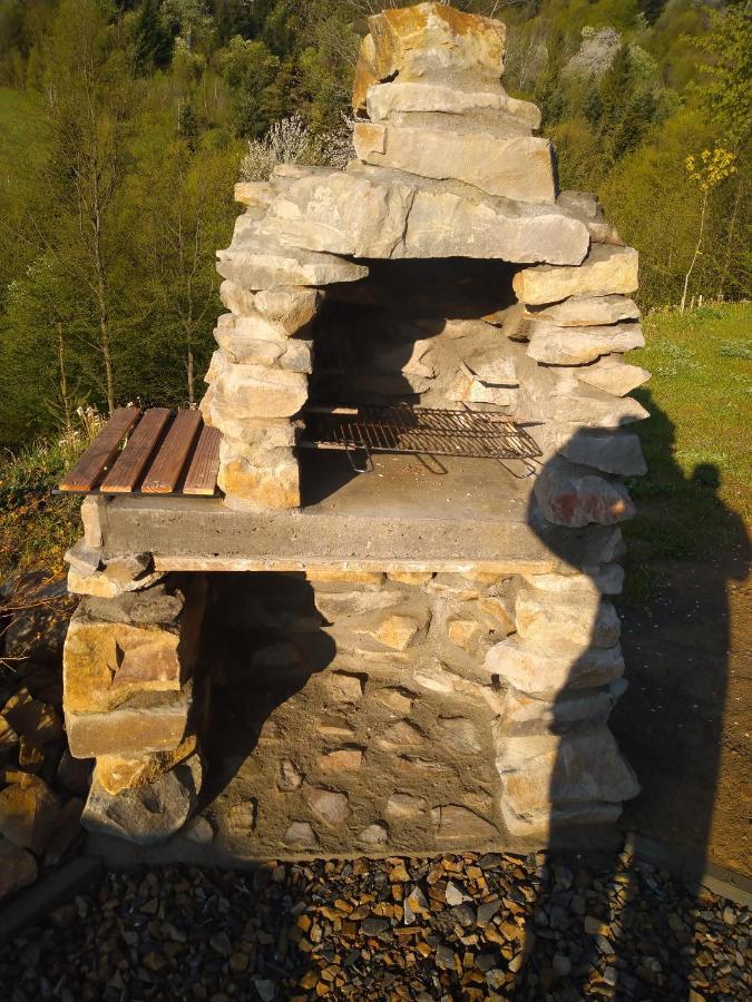 Lesny Dworek 1 Wolkowyja Exteriör bild