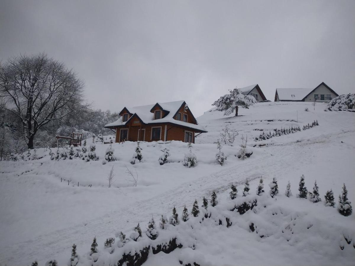 Lesny Dworek 1 Wolkowyja Exteriör bild