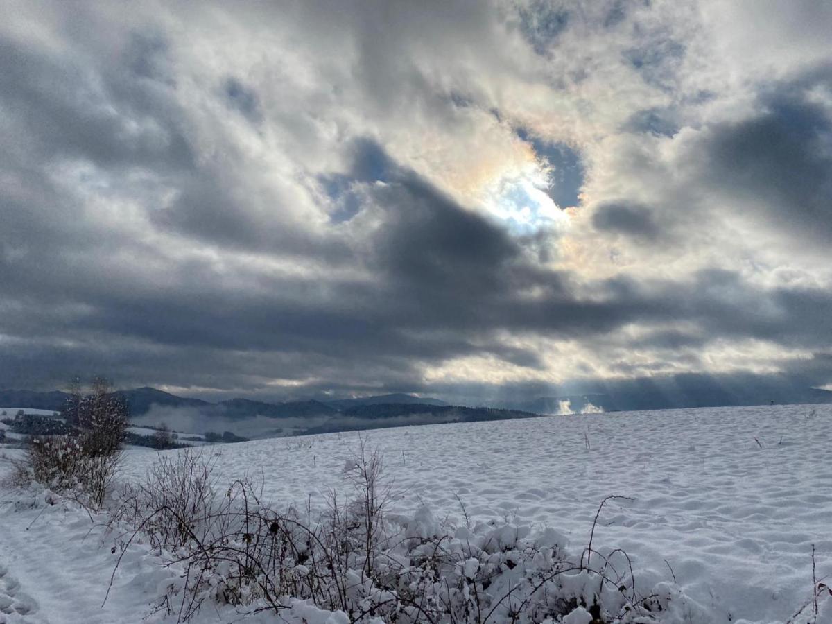 Lesny Dworek 1 Wolkowyja Exteriör bild