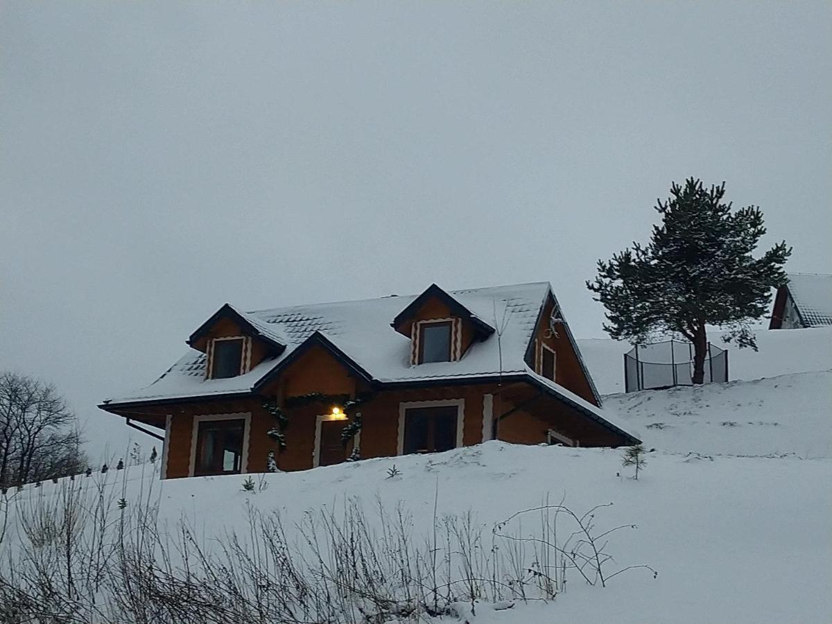 Lesny Dworek 1 Wolkowyja Exteriör bild