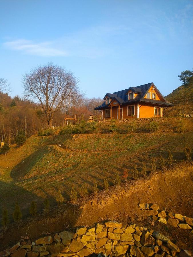 Lesny Dworek 1 Wolkowyja Exteriör bild