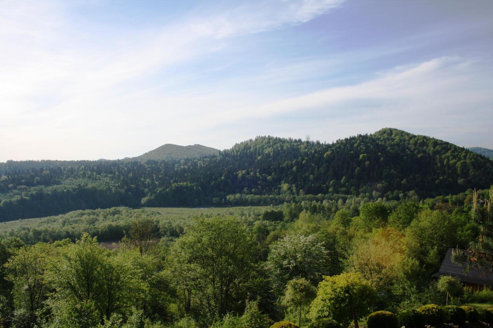 Lesny Dworek 1 Wolkowyja Exteriör bild