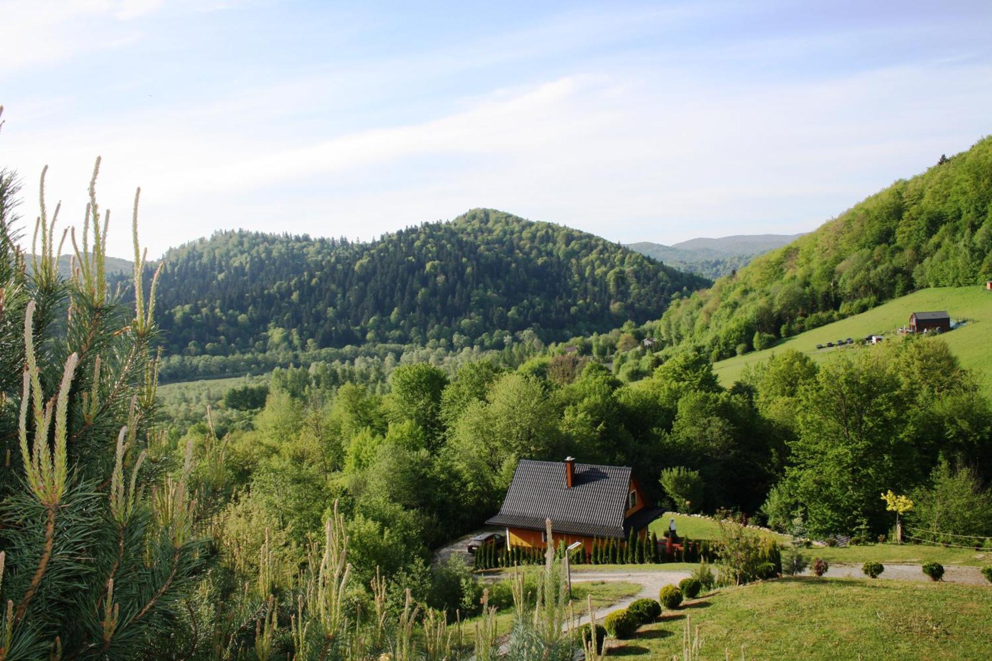 Lesny Dworek 1 Wolkowyja Exteriör bild