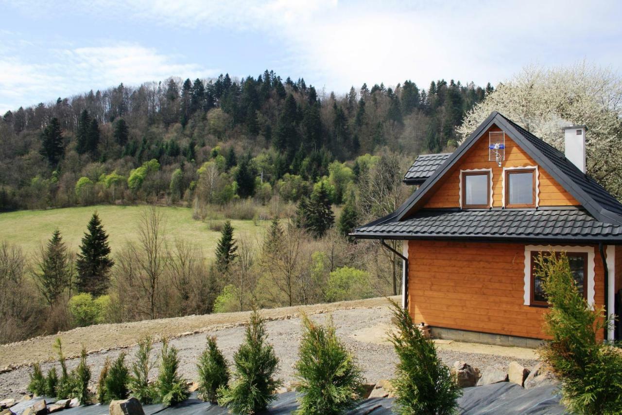 Lesny Dworek 1 Wolkowyja Exteriör bild