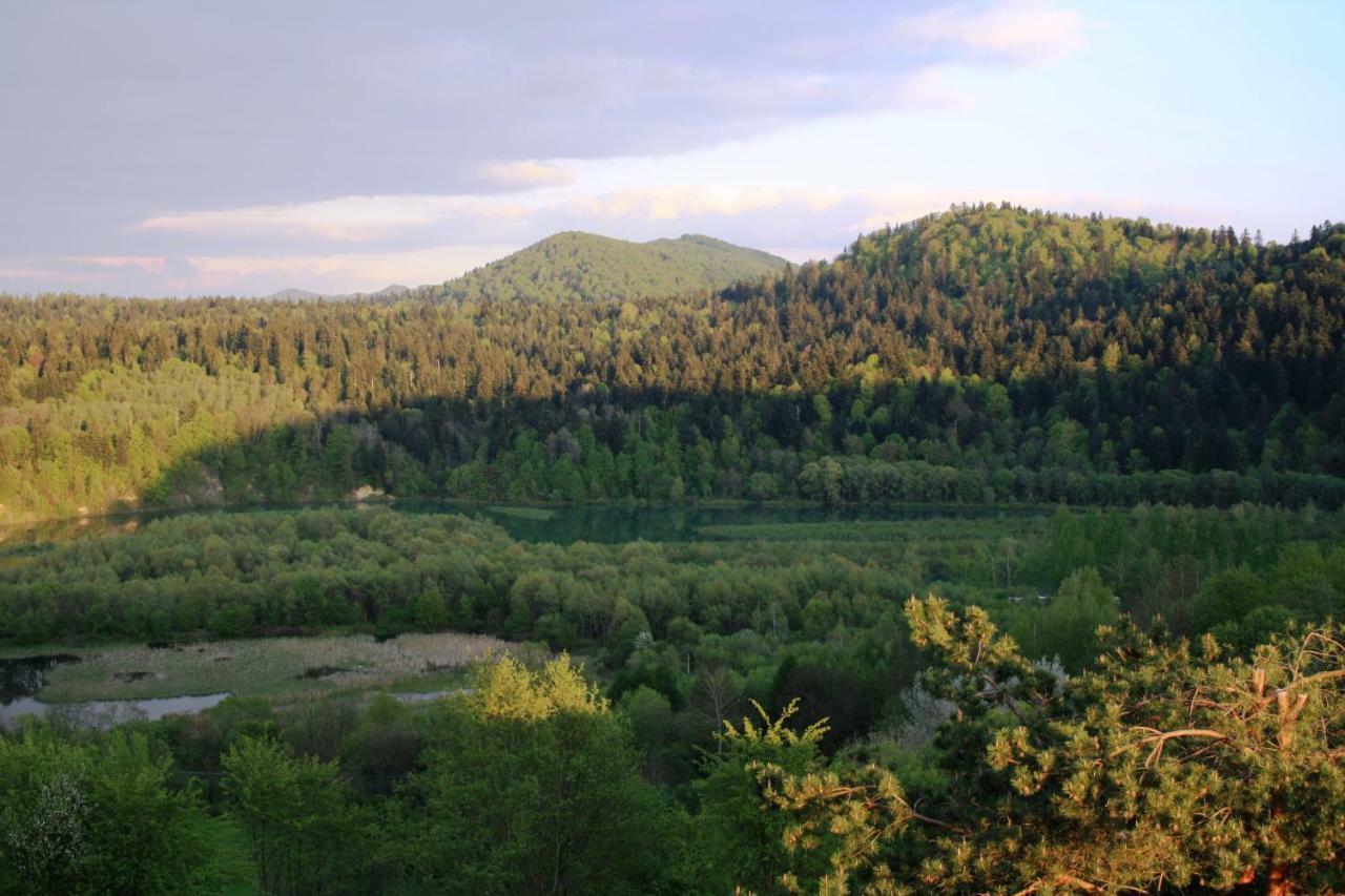 Lesny Dworek 1 Wolkowyja Exteriör bild